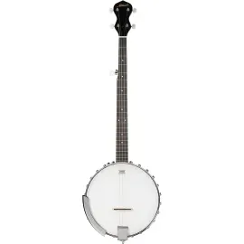 Банджо Mitchell OB100 open-back 5-струнное
