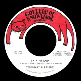 Виниловая пластинка Temporary Blessings - Fata Morgana B/W Silence Leaves an Open Wound [New 7" Viny