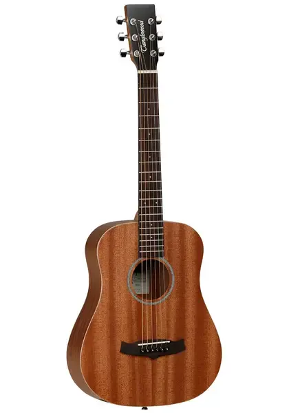 Акустическая гитара Tanglewood TW2 T