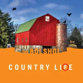 The Bolshoi - Country Life [Green / Orange Vinyl] NEW Vinyl