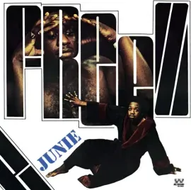 Виниловая пластинка Junie - Freeze [New Vinyl LP] UK - Import
