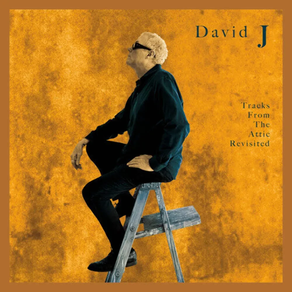 David J - Tracks From The Attic Revisited NEW Vinyl