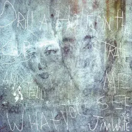 Виниловая пластинка Jim White – Drill A Hole In That Substrate And Tell Me What You See (Релиз 2024)