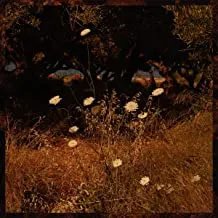 SZUN WAVES - Earth Patterns (CD)