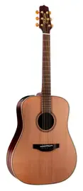 Электроакустическая гитара Takamine FN15 AR Limited Amazon Rosewood Acoustic-Electric Guitar w/ Case