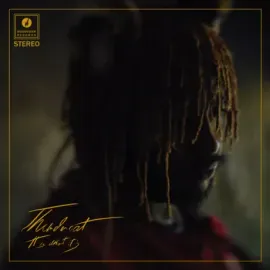 THUNDERCAT - It Is What It Is (CD)