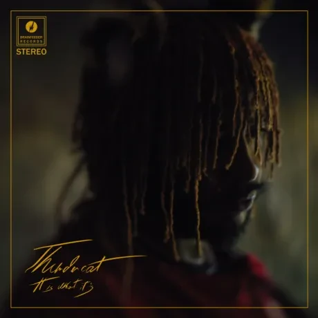 THUNDERCAT - It Is What It Is (CD)