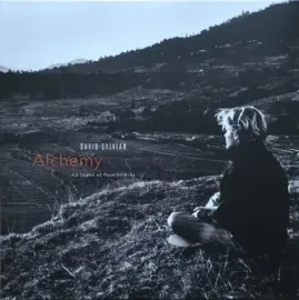 DAVID SYLVIAN - Alchemy An Index Of Possibilities (LP)