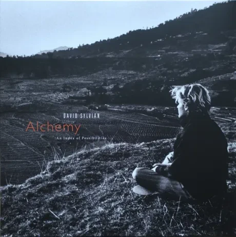 DAVID SYLVIAN - Alchemy An Index Of Possibilities (LP)