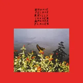 Виниловая пластинка Bonnie "Prince" Billy – I Made a Place