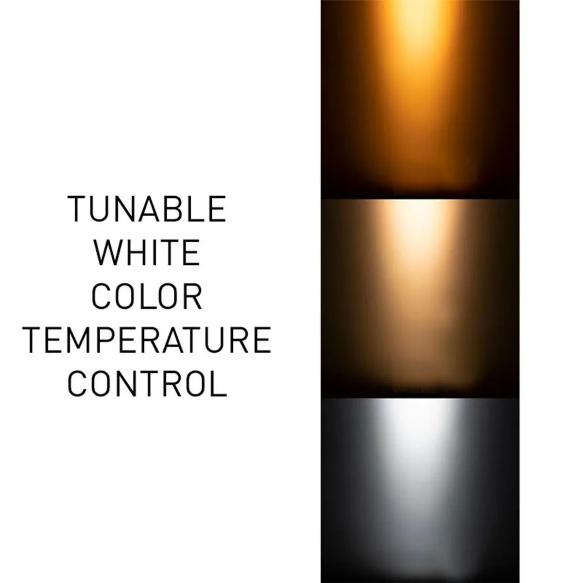 Изображение №9