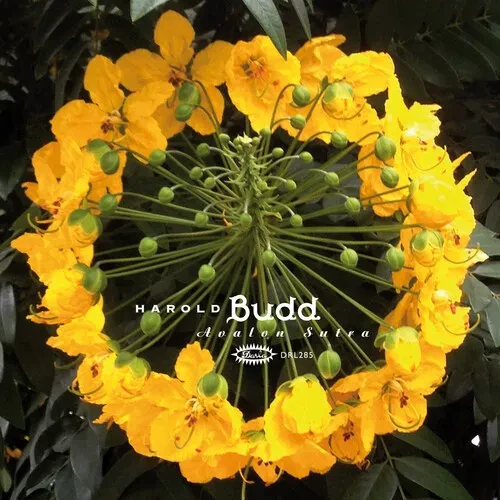 Виниловая пластинка Harold Budd - Avalon Sutra [New Vinyl LP] Bonus CD, Ltd Ed