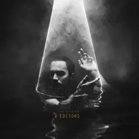 Виниловая пластинка EDITORS – In Dream