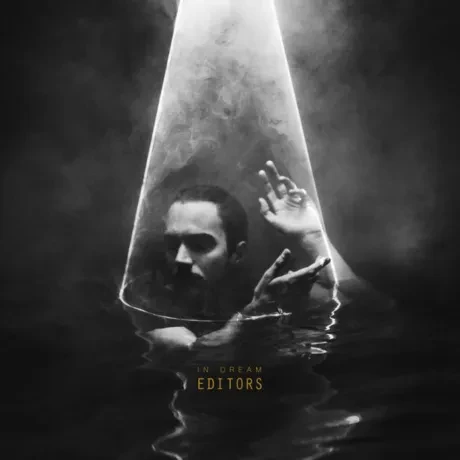 Виниловая пластинка EDITORS – In Dream