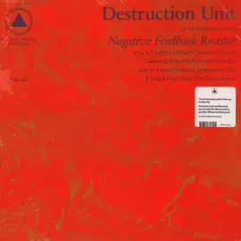 Виниловая пластинка Destruction Unit – Negative Feedback Resistor