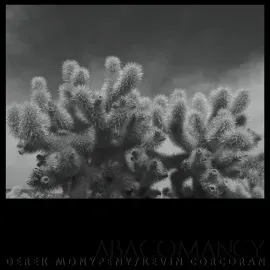 Виниловая пластинка Monypeny,Derek / Corcoran,Kevin - Abacomancy [New Vinyl LP]
