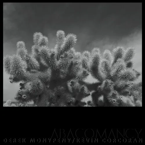 Виниловая пластинка Monypeny,Derek / Corcoran,Kevin - Abacomancy [New Vinyl LP]