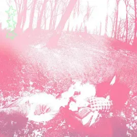 Виниловая пластинка Shower Curtain - words from a wishing well [New Vinyl LP] Colored Vinyl, Pink