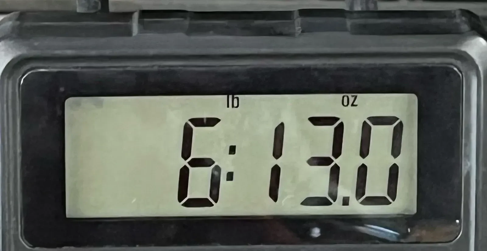 Изображение №8