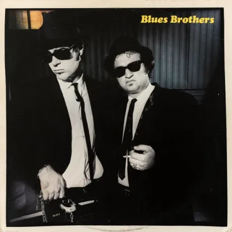 THE BLUES BROTHERS - Briefcase Full Of Blues (LP , Used)