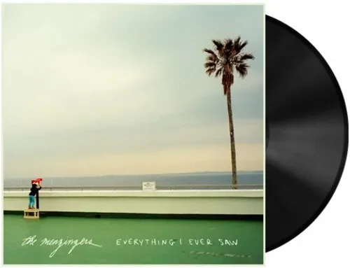 Виниловая пластинка The Menzingers – Everything I Ever Saw (Релиз 2026)