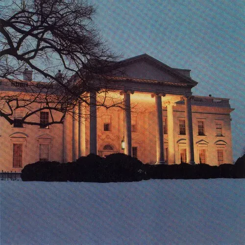 Виниловая пластинка The Dead C - The White House [New Vinyl LP]