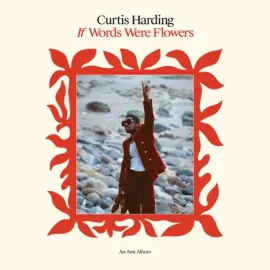Виниловая пластинка Curtis Harding – If Words Were Flowers 2021 Sealed