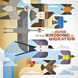 Виниловая пластинка Various Artists – A Guide to the Birdsong of Migration Релиз 2025