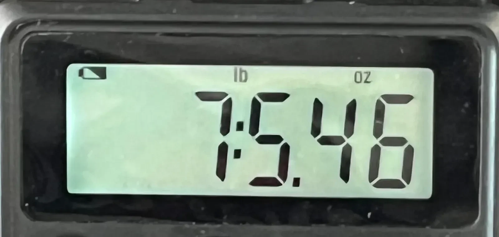 Изображение №7