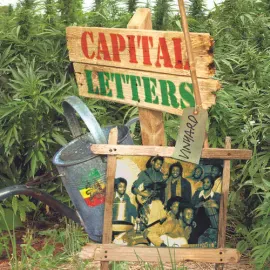Виниловая пластинка Capital Letters - Vinyard [New Vinyl LP]