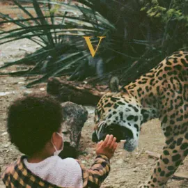 Виниловая пластинка Unknown Mortal Orchestra – V 2023 Sealed