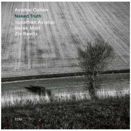 Виниловая пластинка Avishai Cohen – Naked Truth