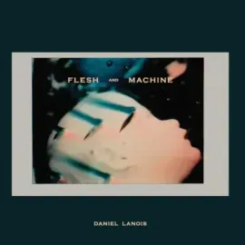 Виниловая пластинка Daniel Lanois – Flesh And Machine