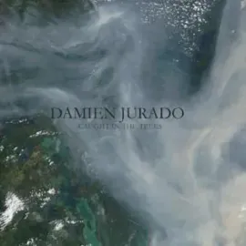 Виниловая пластинка Damien Jurado - Caught in the Trees [New Vinyl LP]