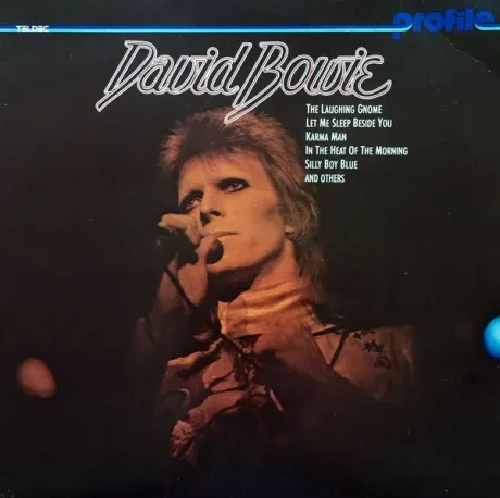 DAVID BOWIE - David Bowie (LP , Used)