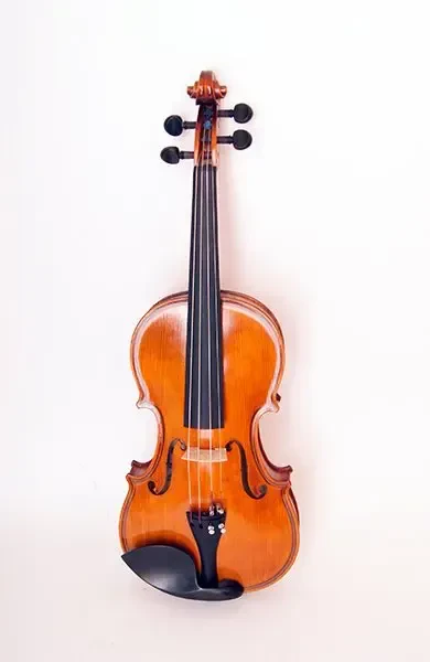 Скрипка Strunal 435-4/4