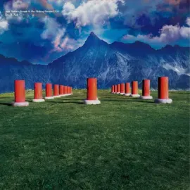 Виниловая пластинка Acid Mothers Temple & the Melting Paraiso U.F.O. - In A Not C [New Vinyl LP]