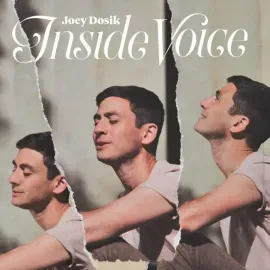 Виниловая пластинка Joey Dosik – Inside Voice Sealed