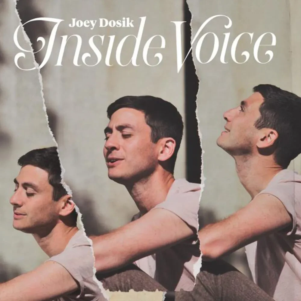 Виниловая пластинка Joey Dosik – Inside Voice Sealed