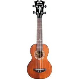 Укулеле сопрано D'Angelico Premier Montauk CS Koa Soprano Ukulele Natural