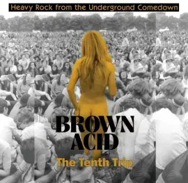 Виниловая пластинка Various Artists - Brown Acid - The Tenth Trip (Various Artists) [New Vinyl LP]