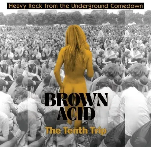 Виниловая пластинка Various Artists - Brown Acid - The Tenth Trip (Various Artists) [New Vinyl LP]