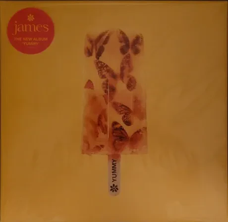 Виниловая пластинка JAMES – Yummy
