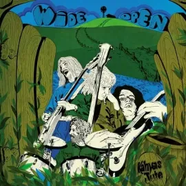 Виниловая пластинка Kahvas Jute - Wide Open [New Vinyl LP]