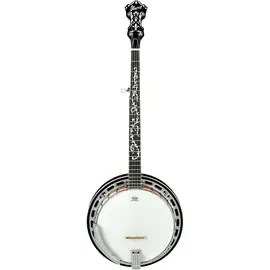 Банджо Ibanez B200 5-String Banjo