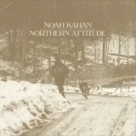 Виниловая пластинка Noah Kahan - Northern Attitude - Black Ice Colored Vinyl with Poster [New 7" Vin