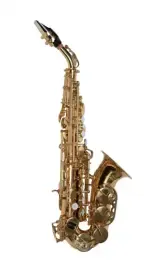 Сопрано-саксофон Pierre Cesar SSC-310GL Bb