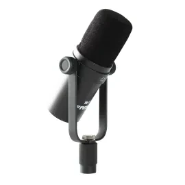 Audio BM-7 Dynamisches Mikrofon Schwarz 20Hz-20kHz XLR 3-Pol Stimme Radio