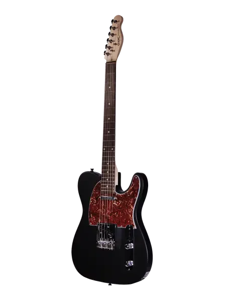 Электрогитара SQOE SETL300 Telecaster Matte Black