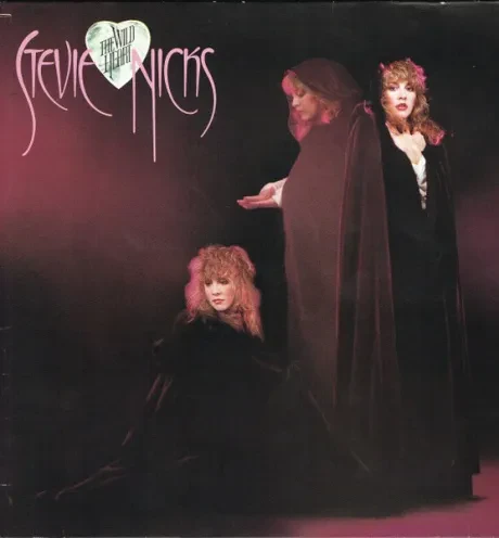 STEVIE NICKS - The Wild Heart (LP , Used)